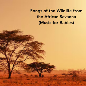Songs of the Wildlife from the African Savanna (Music for Babies)