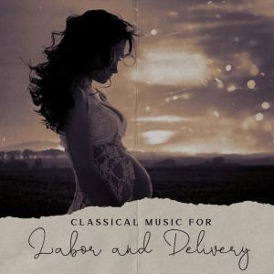 Listen to Fantasie (Piano Sonata K570) song with lyrics from Mozart for Baby Sleep