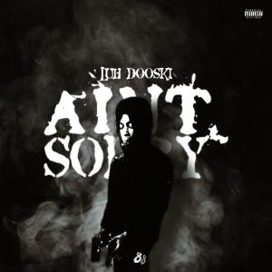 收聽Luh Dooski的Aint Sorry (Explicit)歌詞歌曲