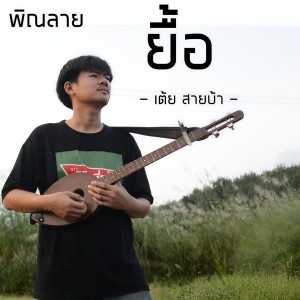 ดาวน์โหลดและฟังเพลง พิณลาย ยื้อ พร้อมเนื้อเพลงจาก เต้ย สายบ้า
