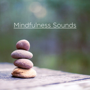 อัลบัม Mindfulness Sounds ศิลปิน Nature Recordings