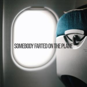 Tom McGovern的專輯Somebody Farted On The Plane (Explicit)