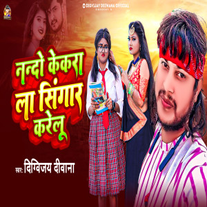 Listen to Nando Kekra La Singar Karelu song with lyrics from Digvijay Deewana