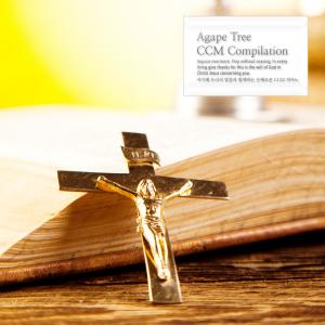 Various Artists的专辑Graceful CCM Piano with the words of Agape Tre