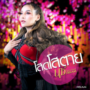 ดาวน์โหลดและฟังเพลง โสดโสตาย พร้อมเนื้อเพลงจาก นุชนันท์ วรรวิรา