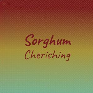 Dengarkan Sorghum Cherishing lagu dari Dems Aras dengan lirik