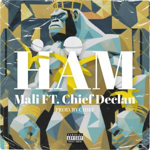 Mali040的專輯HAM (feat. Chief declan) (Explicit)