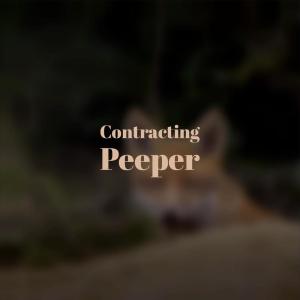 ดาวน์โหลดและฟังเพลง Unrestricted Something พร้อมเนื้อเพลงจาก Jelson Bral