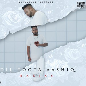 Listen to Mafia song with lyrics from Harjas Harjaayi