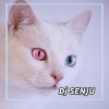 default album img