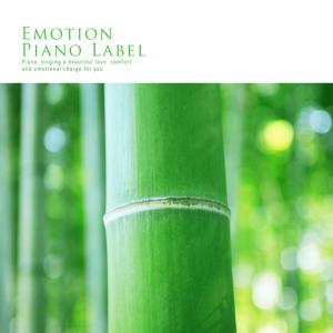 Album Comfortable meditation music that stabilizes the mind (meditation piano) from Various Artists