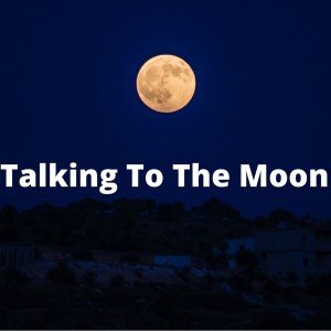 收聽Dj Tik Tok Mix的Talking To The Moon (TikTok Remix)歌詞歌曲