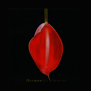 ดาวน์โหลดและฟังเพลง กอยฮัก พร้อมเนื้อเพลงจาก Harmonica Sunrise