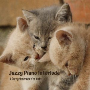 Album Jazzy Piano Interlude: A Furry Serenade for Cats from Classic Jazz Piano