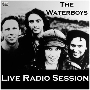 收聽The Waterboys的We Will Not Be Lovers (Live)歌詞歌曲