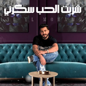 Listen to شربت الحب سكرني (Explicit) song with lyrics from ليل المحمدي