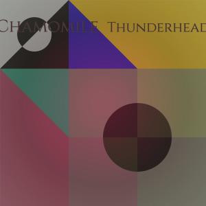 Album Chamomile Thunderhead from Various