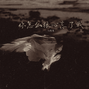 收听付思思的你怎么狠心忘了我歌词歌曲