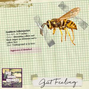 The Team的專輯Gut Feeling (feat. G Bae Bae) (Explicit)