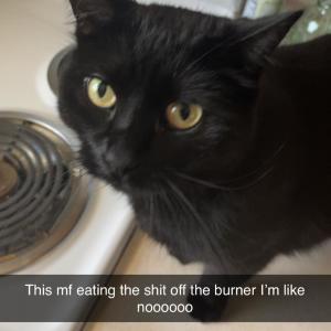 收聽Khale的Speedin' (Demo Version|Explicit)歌詞歌曲