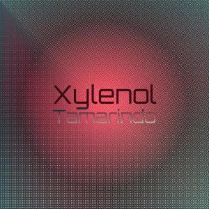 Listen to Pleading Lyn song with lyrics from Tyla Meson