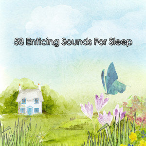 อัลบัม 58 Enticing Sounds For Sleep ศิลปิน Sleepy Night Music