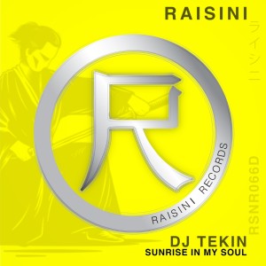 Dengarkan Sunrise in My Soul (Ibiza Morning Mix) lagu dari DJ Tekin dengan lirik