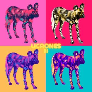 Album Licaones III from Licaones