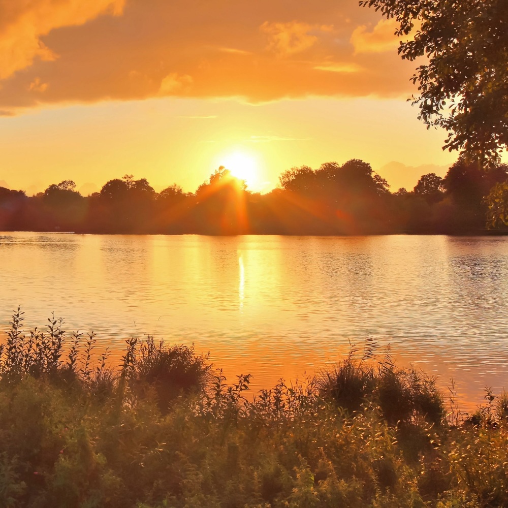 Gentle Peace Quiet Tunes