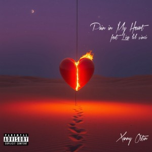 Listen to Pain in My Heart (feat. Lisa lil vinci) (Explicit) song with lyrics from xanny o'stin