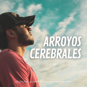 Arroyos Cerebrales: Música Relajante De Lluvia Y Naturaleza