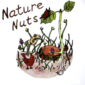 Mary Miche的專輯Nature Nuts