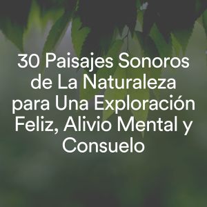 Album 30 Paisajes Sonoros de La Naturaleza para Una Exploración Feliz, Alivio Mental y Consuelo from Oasis de Détente et Relaxation