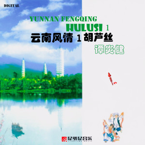 Listen to 婚事（选自《芦笙恋歌》） song with lyrics from 谭炎健