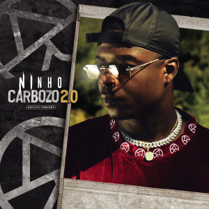 Carbozo 2.0 (Extrait du projet Carbozo 2020)