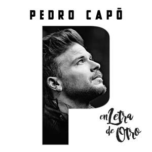 收聽Pedro Capo的Te Quiero Tanto, Tanto歌詞歌曲