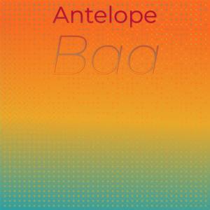 อัลบัม Antelope Baa ศิลปิน Various