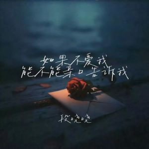 Album 如果不爱我能不能亲口告诉我 from 段晓晓