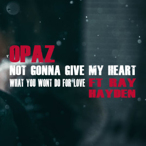 ดาวน์โหลดและฟังเพลง What You Wont Do for Love พร้อมเนื้อเพลงจาก Opaz
