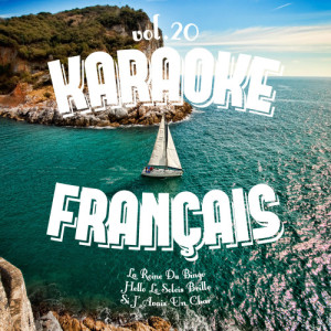 Karaoke - Français, Vol. 20