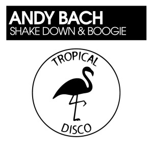 Listen to Shake Down & Boogie song with lyrics from Andy Bach