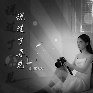 收聽靈魂KK的說過了再見 (完整版)歌詞歌曲