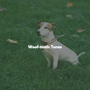 Woof-tastic Tunes