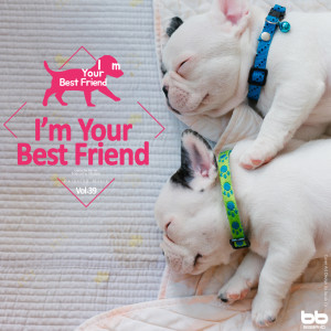 收听I'm Your Best Friend的Pachelbel: Canon In D Major歌词歌曲