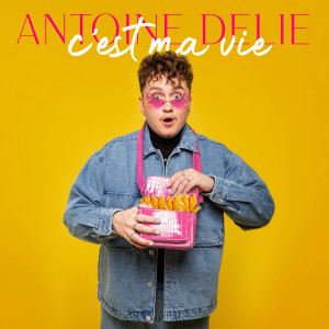 ดาวน์โหลดและฟังเพลง Formidable (feat. Delta) พร้อมเนื้อเพลงจาก Antoine Delie