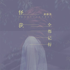 ดาวน์โหลดและฟังเพลง 怪我全都记得 พร้อมเนื้อเพลงจาก 黄静美