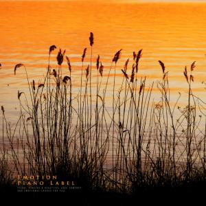 Album On A Rainy Day, The Moment Of Farewell (Emotional Piano) oleh Piano Diary