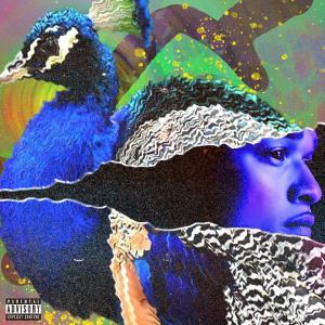 ดาวน์โหลดและฟังเพลง Phase (Explicit) พร้อมเนื้อเพลงจาก Haneef