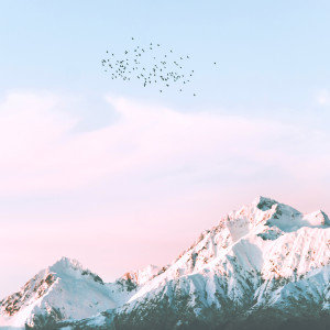 Listen to Morning Breeze song with lyrics from Uyku Müzik