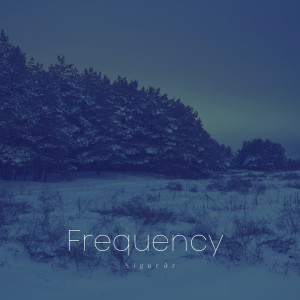 Sigurðr的專輯Frequency